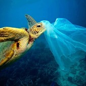 *Journée mondiale du sans sac plastique*

Ce Samedi 03 Juillet c’est la journée mondiale sans sac plastique, ils représentent un danger pour l'écosystème marin et terrestre.

Il suffit d’une seconde pour fabriquer un sac plastique, qui sera utilisé en moyenne pendant 20 minutes, et il mettra entre 100 à 400 ans à se désagréger.

Ensemble, réduisons notre empreinte plastique.

#journeemondialedusanssacplastique #protegeonsnosoceans #5oceanssemobilise #permisbateaux